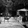 nara_01