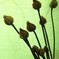 Artificial Flowers