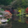 人造湖の紅葉２