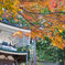 紅葉の高野山