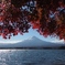 Kawaguchi lake in Autumn