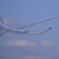 入間航空祭 2018(21)