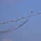 入間航空祭 2018(22)
