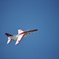 入間航空祭 2018(30)