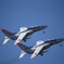 入間航空祭 2018(31)