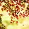 紅く