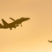 F-15Eagle＆Great　Cormorant.