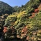 秋晴れ