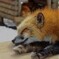 むにゃむにゃ