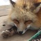 まだ眠い…