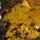 DSC09449