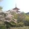 京の春～桜との調和～