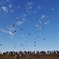 秋空へ