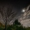 月夜の星空