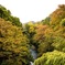 山の写真です！