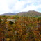 宮城県 鳴子峡 紅葉