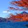 栃木県 日光 中禅寺湖 紅葉
