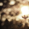 4629786D-A5E7-4C67-A389-1561F3617F9E