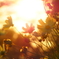 E2F64A01-98ED-47EB-91C0-C84189B36205