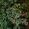 IMG_20181101_171254_925