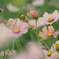 F0F94EA1-CE33-491C-AB5A-FD2C4DD10A75