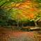 名もない公園