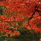 DSC09465