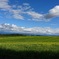 美瑛in北海道