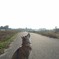 みあげてごらん