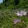 DSCN1690