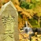 長谷寺