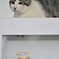 吾輩は猫である、ニャー # 291