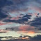 DSC_0596
