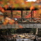 紅葉に包まれた佛通寺Ⅱ