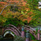 夕方の大澤寺５