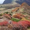 くじゅう星生山の紅葉1