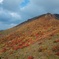 くじゅう星生山の紅葉2