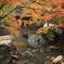 紅葉に包まれた佛通寺Ⅲ