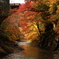 紅葉の渓谷