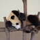 ｚｚｚ