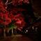 長円寺　２