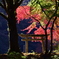 延命寺　蓮池横の鳥居