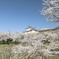 津山城-016