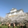 津山城-023