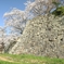 津山城-028