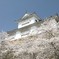 津山城-088