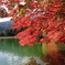 紅葉・鯉・boat・・・