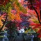 長野　清水寺