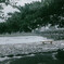 渡月橋