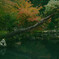 天龍寺